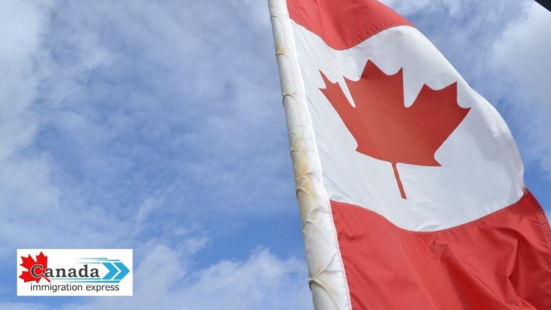 Requirements of the Canadian Provincial Nominee Program