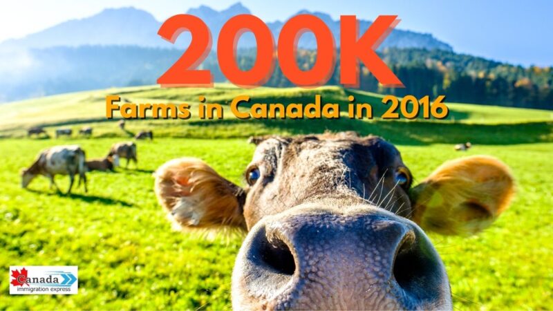 Farms In Canada