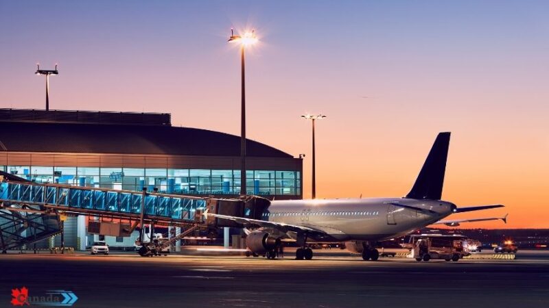 International Passengers